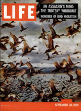 life-by-time-inc-published-september-28-1959
