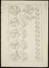 muslin-patterns-published-1816