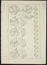 muslin-patterns-published-1816
