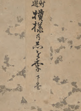 Shinsen moyō no shiori